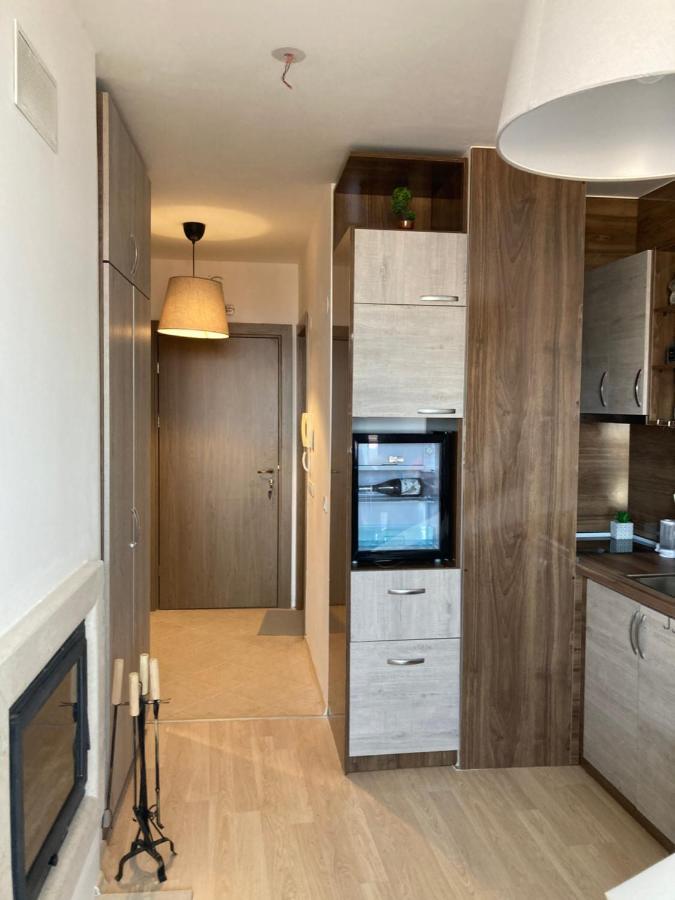 Mirabell Studio Bansko - Amazing View & Fireplace Экстерьер фото