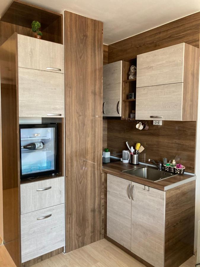 Mirabell Studio Bansko - Amazing View & Fireplace Экстерьер фото