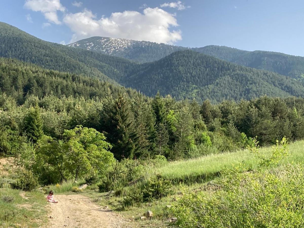 Mirabell Studio Bansko - Amazing View & Fireplace Экстерьер фото